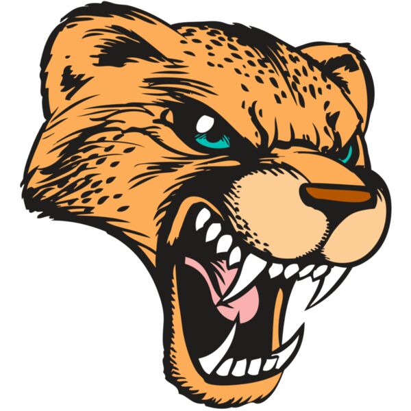 BAW CHEETAH 19 RC Thumbnail