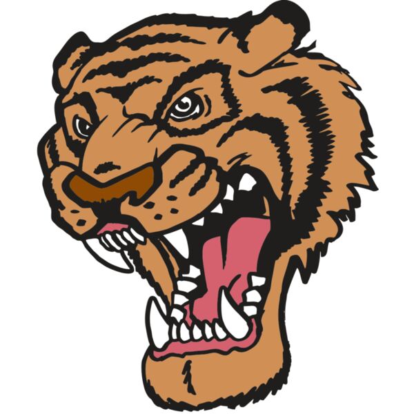 AR TIGER 12 RC Thumbnail